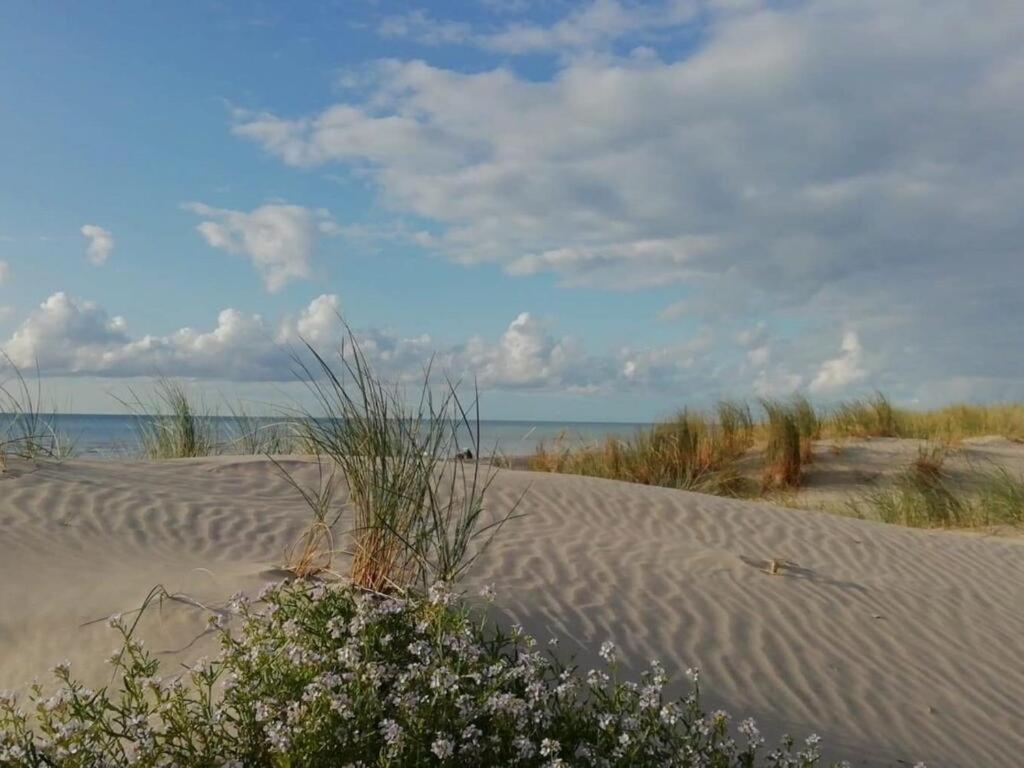 Superbe Apt Cosy, 50M De La Plage, 4 Pers, Vue Cote Mer Fort-Mahon-Plage Exteriér fotografie